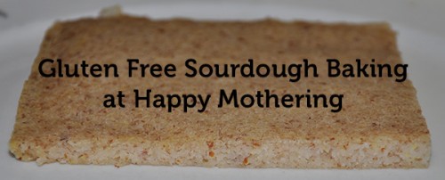 gluten-free-sourdough-baking