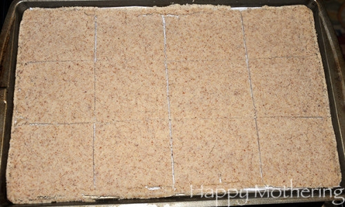 gluten-free-sourdough-flatbread
