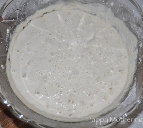 gluten-free-sourdough-starter