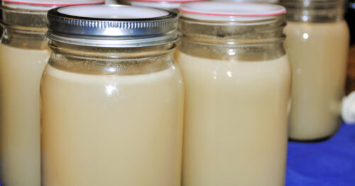 Close up of several jars of homemade chicken stock that has been canned in mason jars.