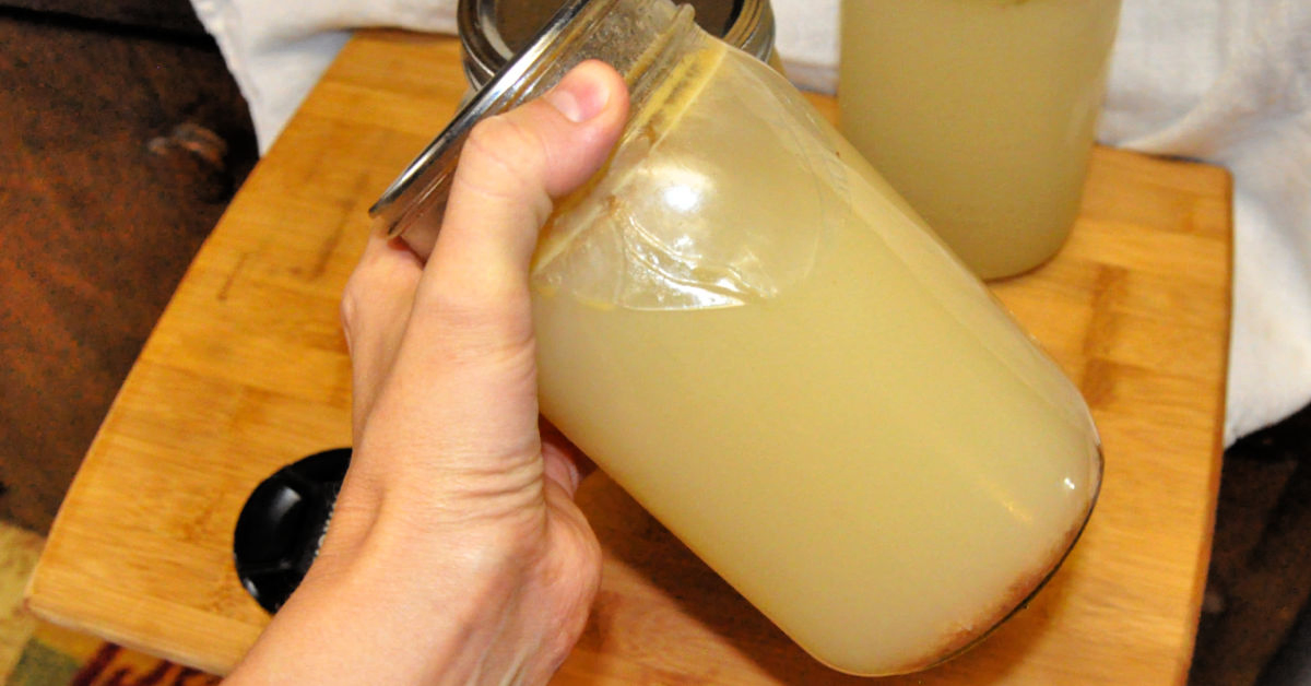 Gelatinous chicken stock made in a slow cooker.