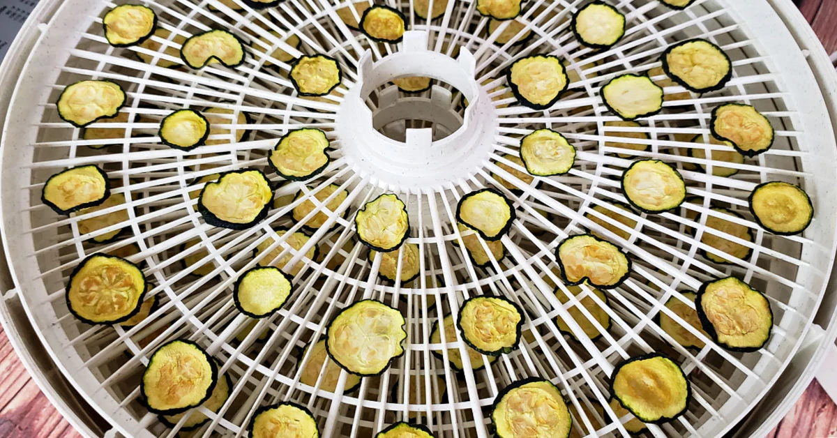 Zucchini chips on dehydrator rack after being dried.