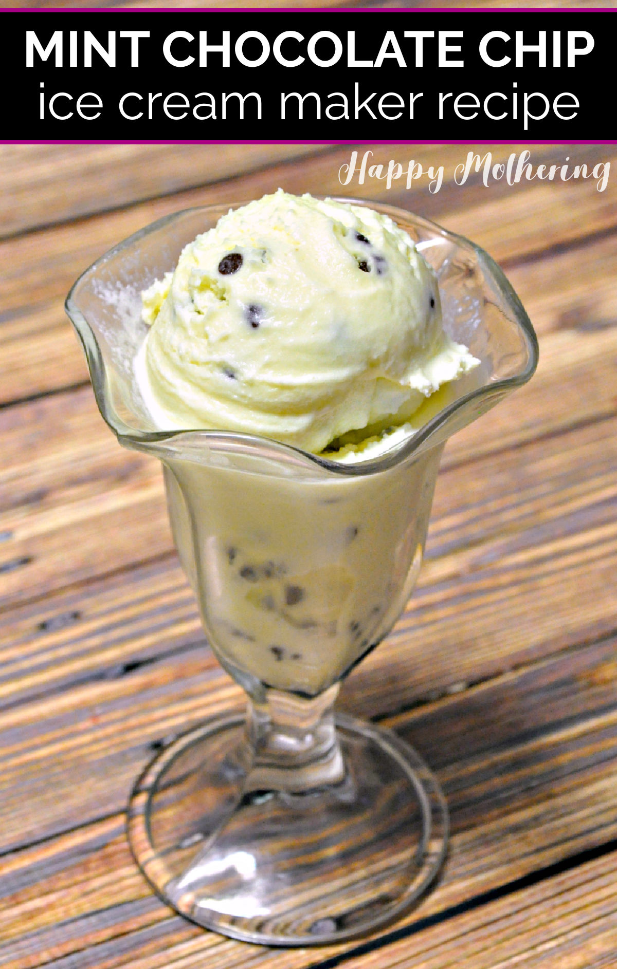 Mint chocolate chip is a favorite ice cream flavor in our family. Learn the best recipe for making this sweet treat. We even included a dairy free option!