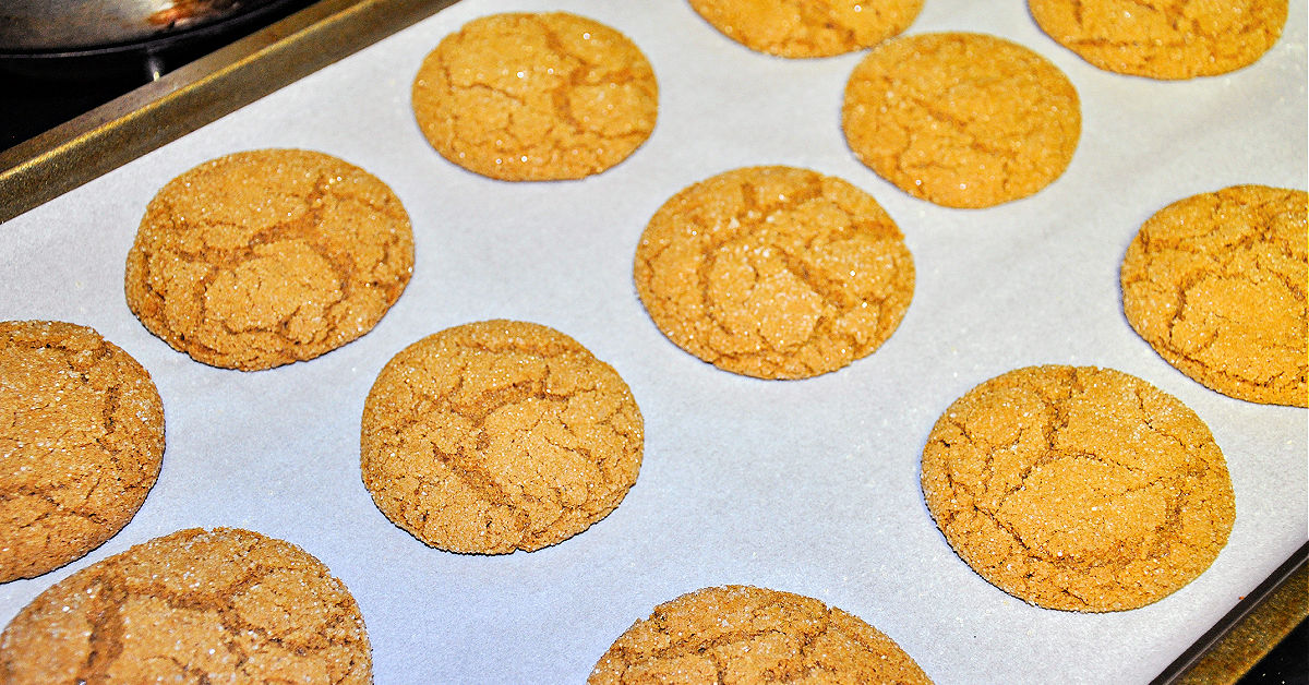 Fresh baked gluten free gingersnaps on a cookie sheet lined with parchment paper.