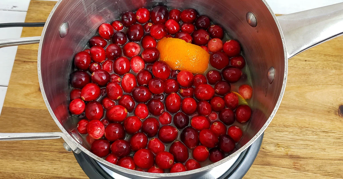 Fresh cranberries, orange juice, orange peel and sea salt added to sugar water in saucepan.