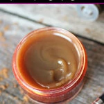 One tub of homemade honey cinnamon lip gloss with lip brush