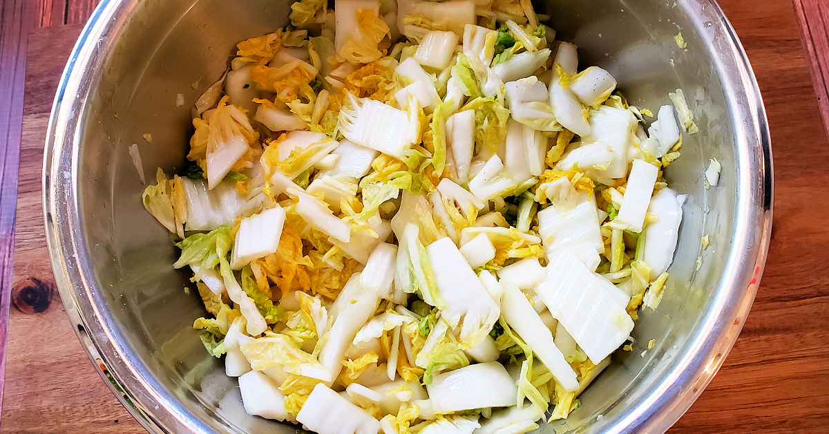 Napa cabbage after being massaged with sea salt in a metal mixing bowl.