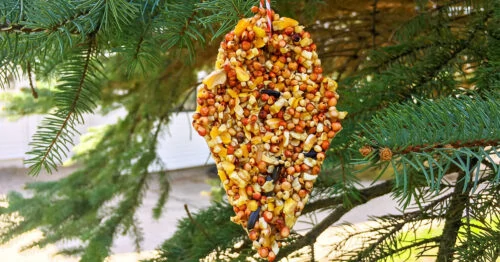 DIY bird feeder ornament hanging on a tree.