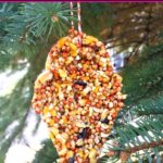 Peanut butter free birdseed bird feeder hanging in an evergreen tree