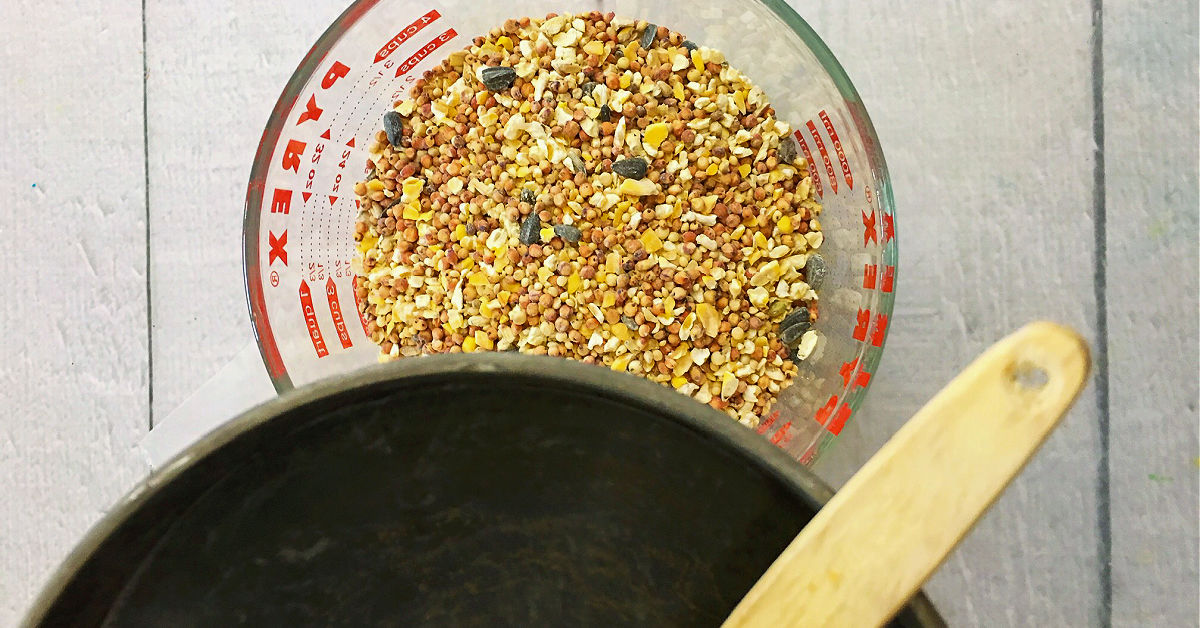 How To Make Diy Hanging Bird Feeders Happy Mothering