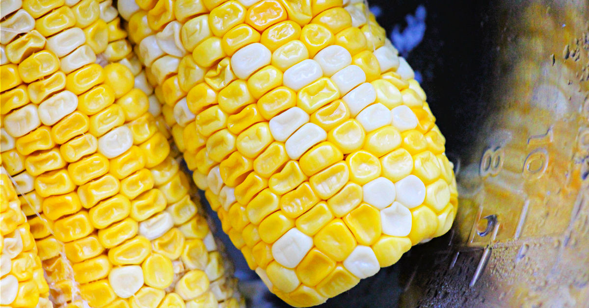 Ears of corn added to Instant Pot with milk, water and butter