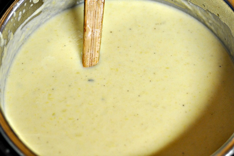 Pureed Potato Leek Soup in the Instant Pot.