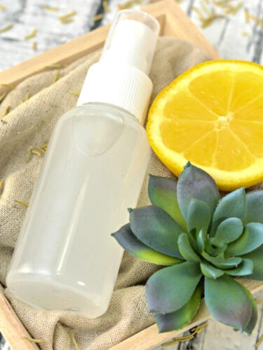 Spray bottle of homemade essential oil bug spray in pretty wood crate with lemon slice and green succulent plant