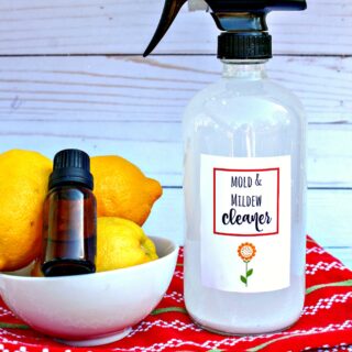 Easy Homemade Mold & Mildew Cleaner - Happy Mothering