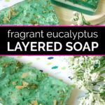 Three eucalyptus scented layered soap bars