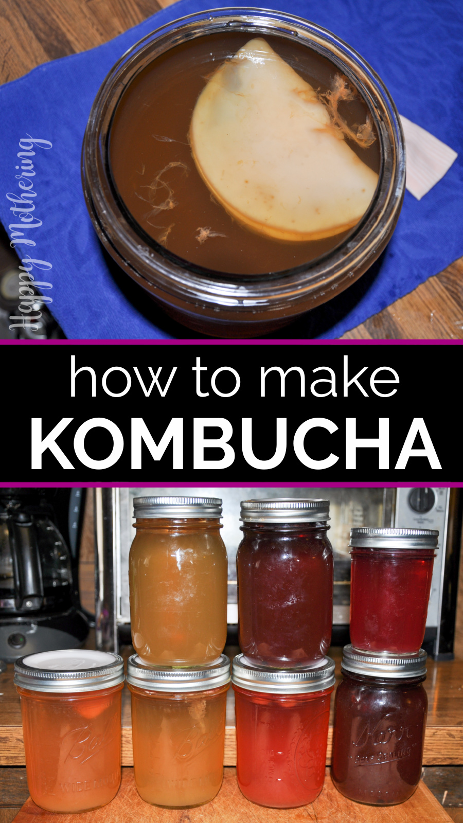 "How to Brew Kombucha" over images of glass jar of kombucha brewing above 6 jars ready to drink.