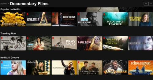 Screenshot of titles of documentaries currently on Netflix.