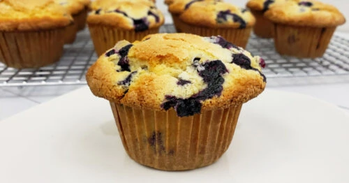 Bakery style gluten free blueberry muffin on white dessert plate.