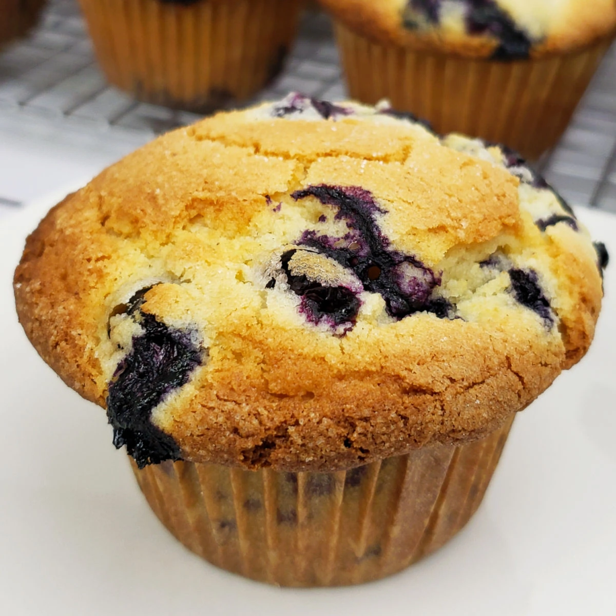 Gluten free blueberry muffin with golden brown top.