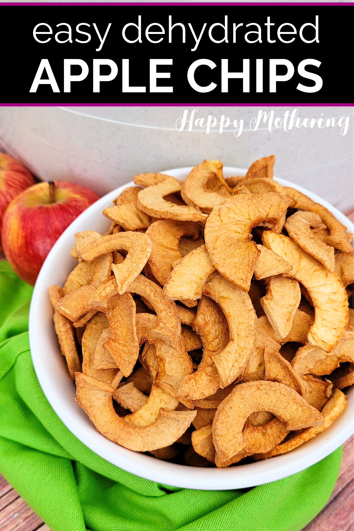 Bowl of homemade apple chips in front of food dehydrator.