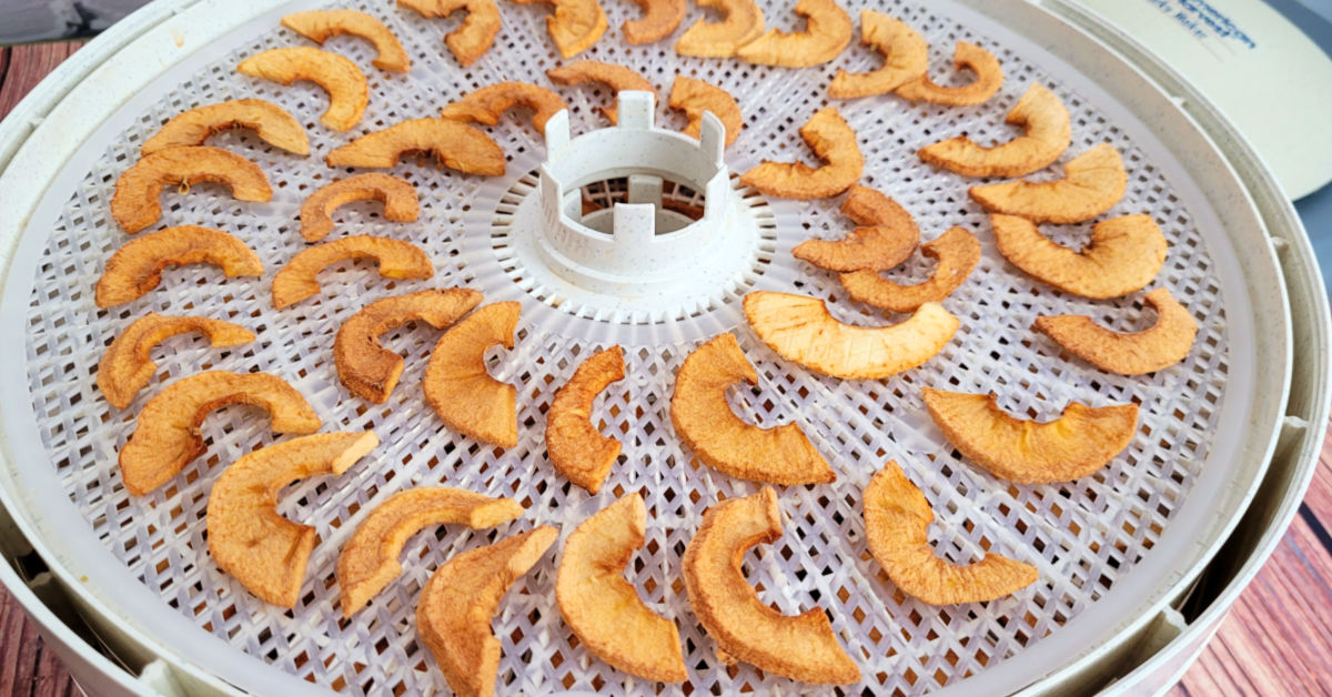 Dehydrated apple slices cooling on dehydrator trays.