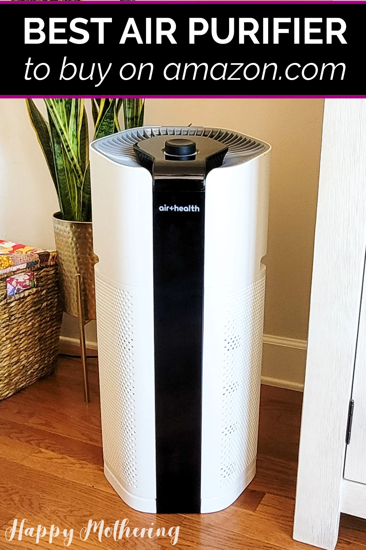 Skye Health Air Purifier working to clean the air in the living room.